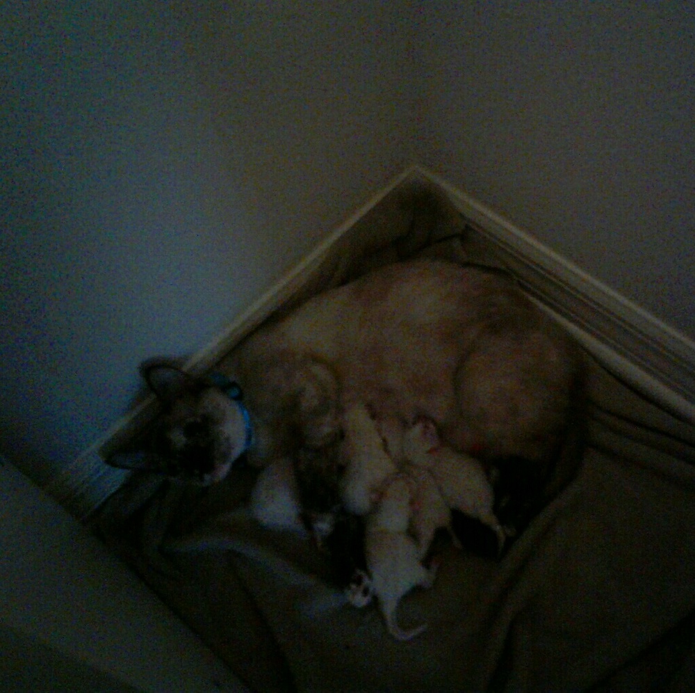 Meet your Posher, Katie